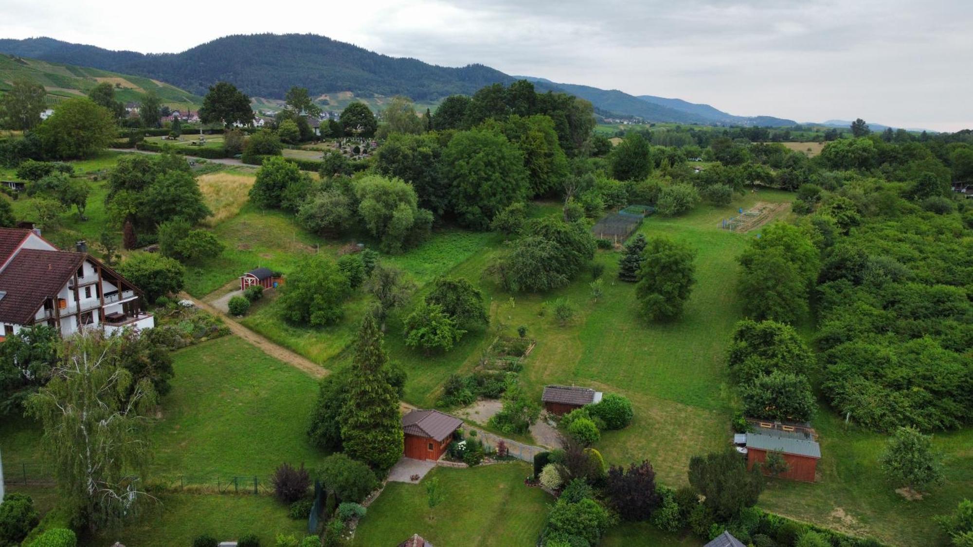 Ferienwohnung Herrnberg Baden-Baden Zewnętrze zdjęcie